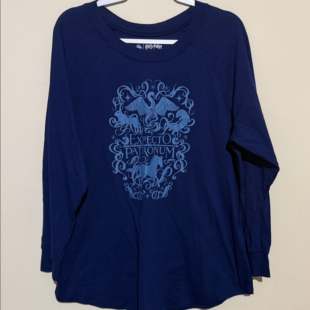 Harry Potter Navy Graphic Tee with Light Blue Print